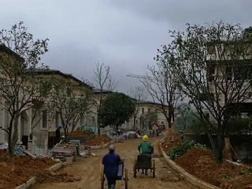 園林綠化工程施工，園林綠化養(yǎng)護，別墅庭院綠化