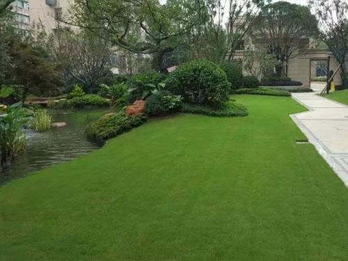 園林綠化工程施工，園林綠化養(yǎng)護，別墅庭院綠化
